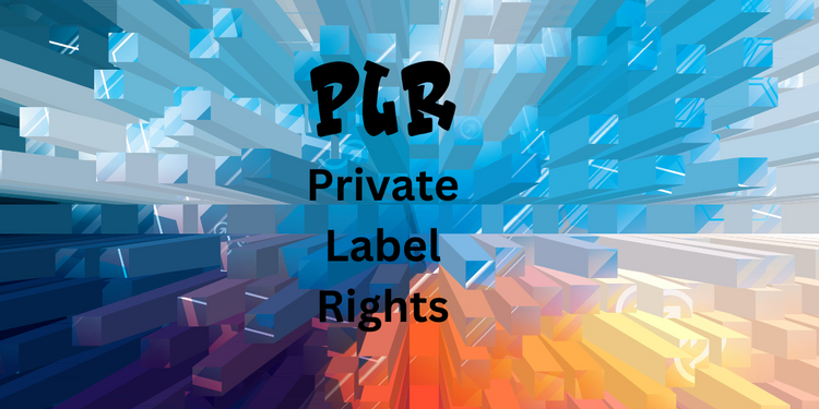 PLR Design Templates